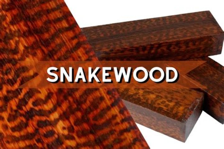 What kind of wood is Snakewood?