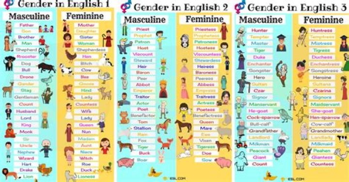 What languages have masculine and feminine?