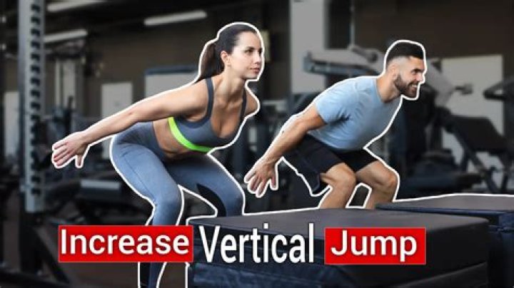 What leg exercises increase vertical?
