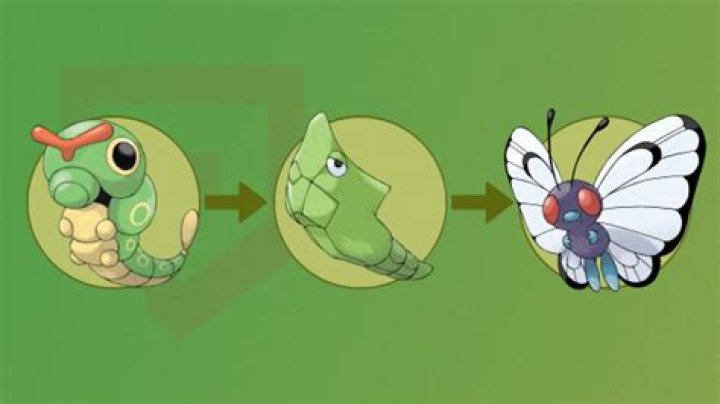 What level does butterfree evolve?