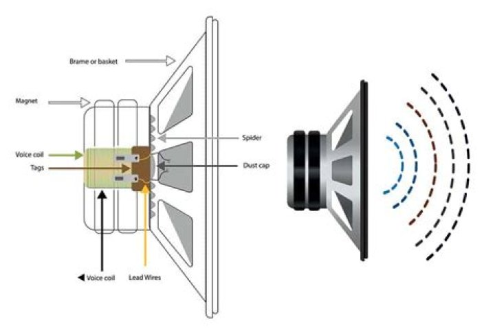 What magnets are in speakers?