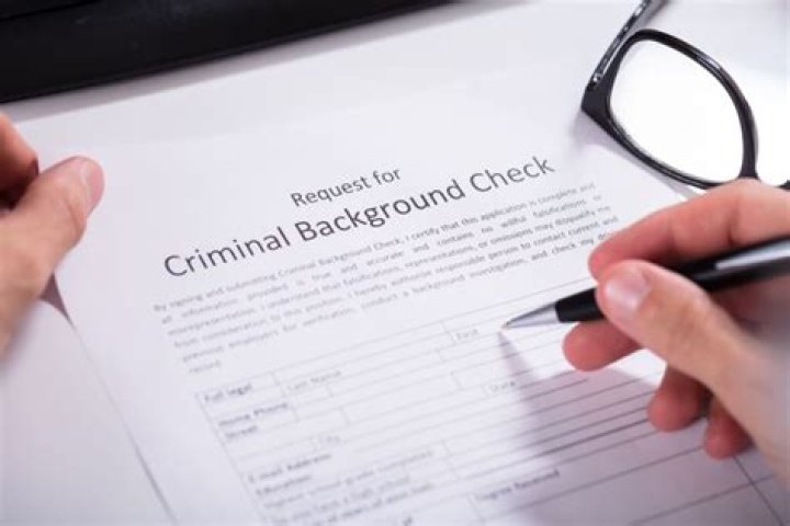 What makes a criminal record?