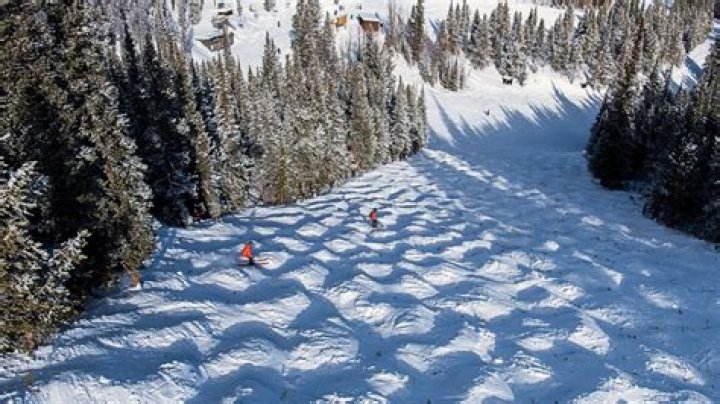 What makes a great mogul ski?