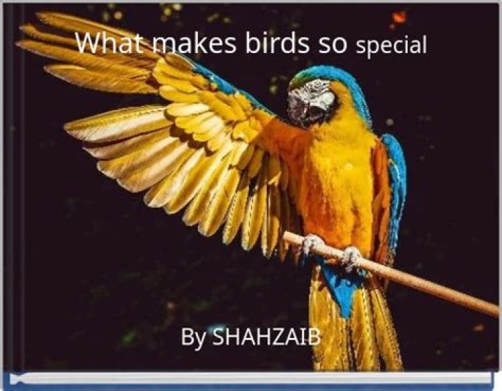 What makes birds so special?