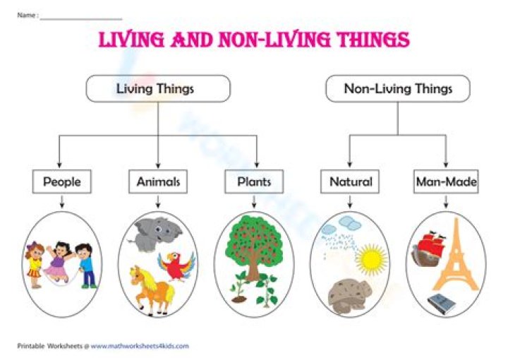 What makes living things different from nonliving things Class 6?