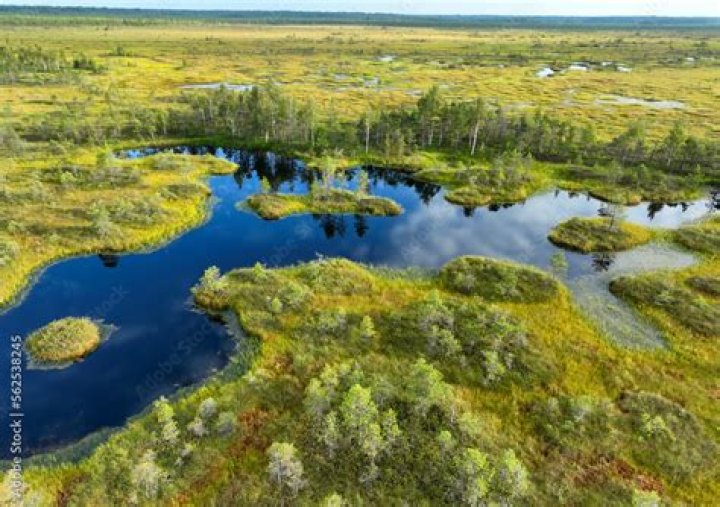 What marshes are Europe's largest wetlands?