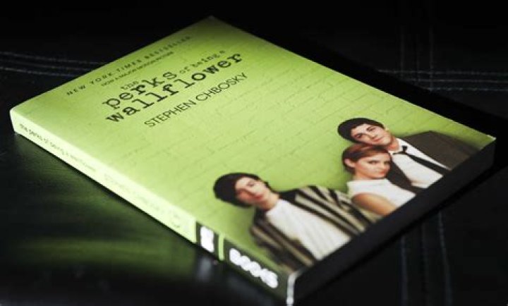 What mental illness is portrayed in Perks of Being a Wallflower?