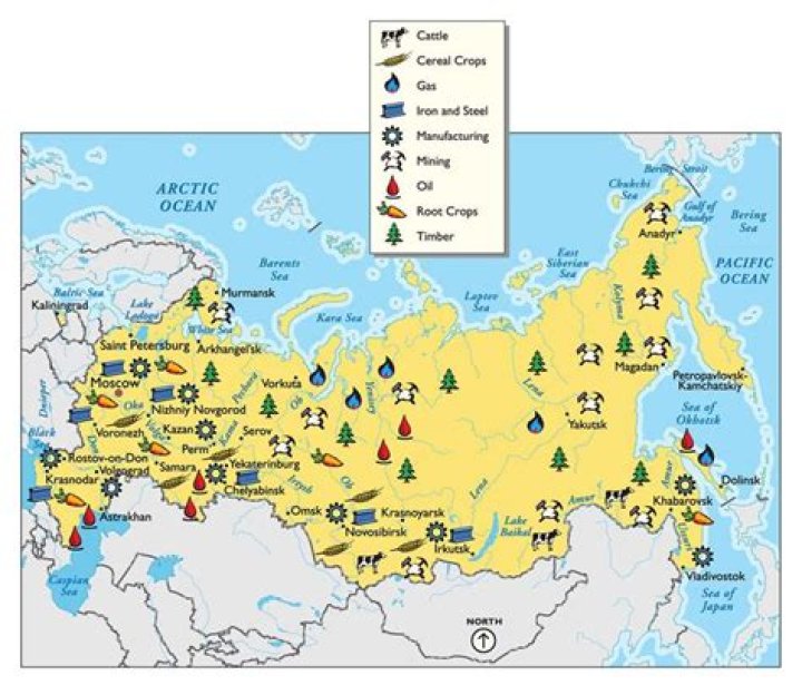 What mineral resources is Russia rich in?