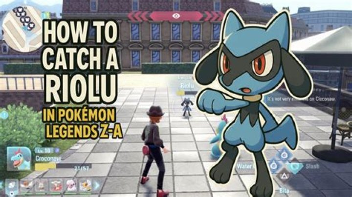 What moves can riolu learn?