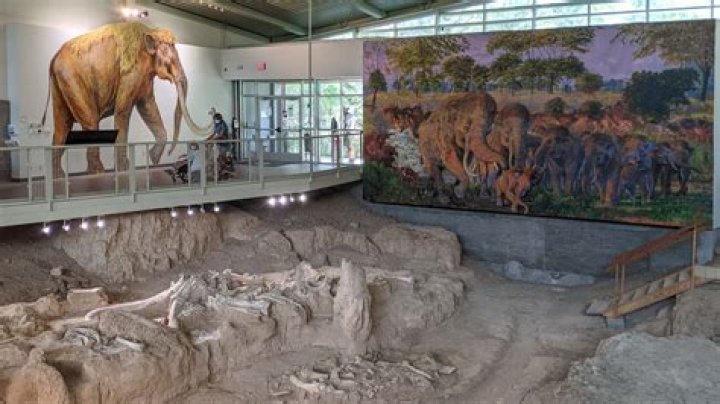 What museum is in Waco?