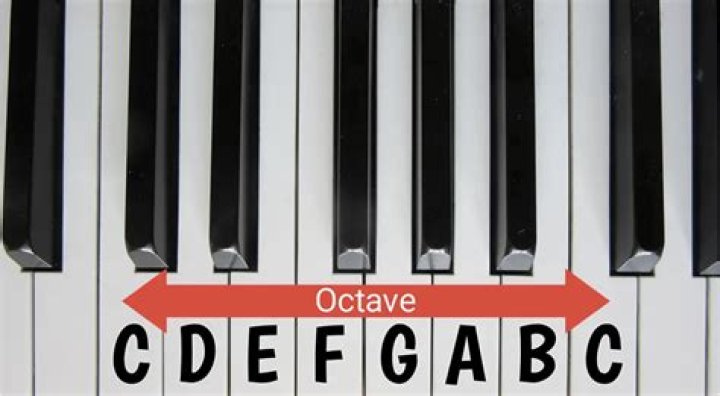 What octave is middle C on the harp?