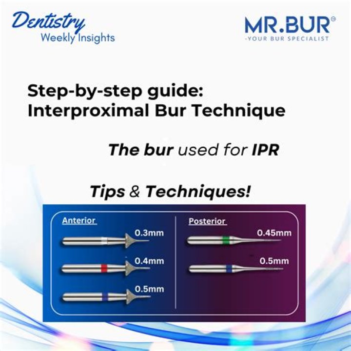 What part of the bur fits into the handpiece?
