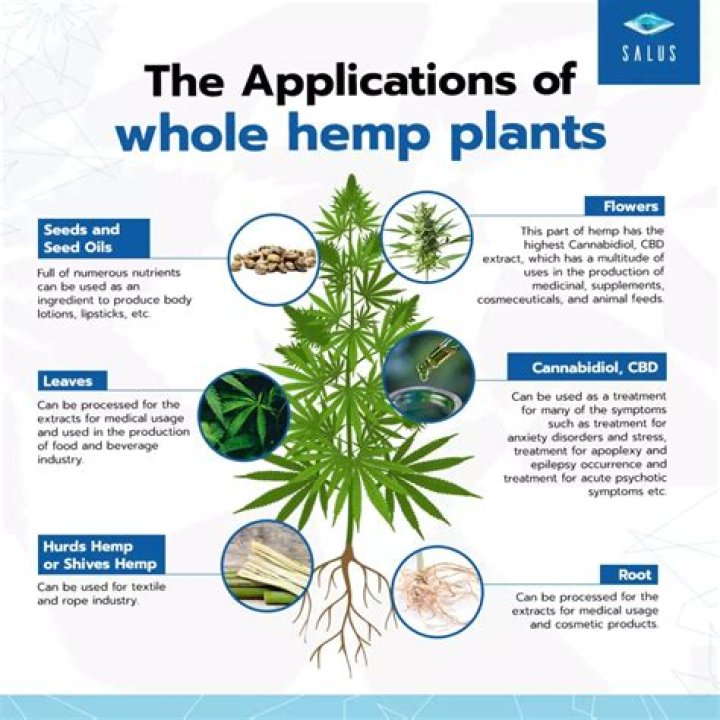 What part of the plant is hemp?