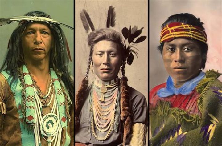 What percent Native American do you have to be to get a scholarship?