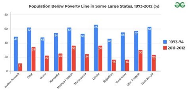 What percent of India is below poverty line?