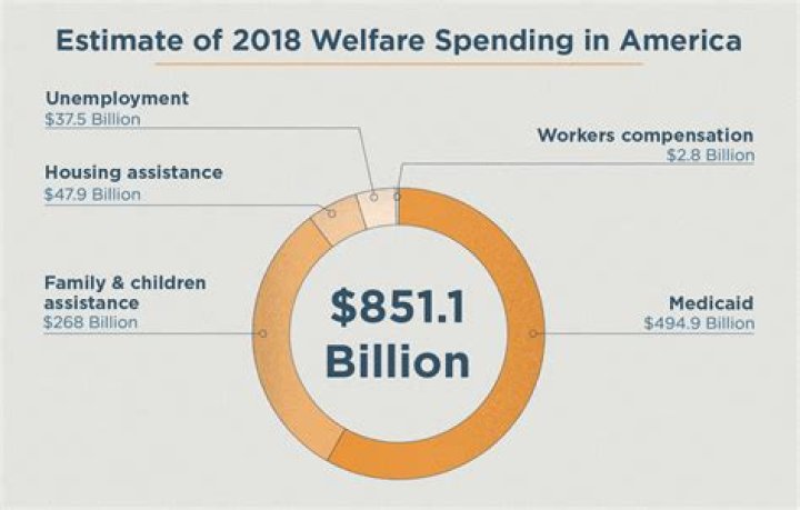 What percentage of government expenditure goes on welfare?