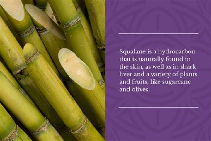 What plant does squalane come from?