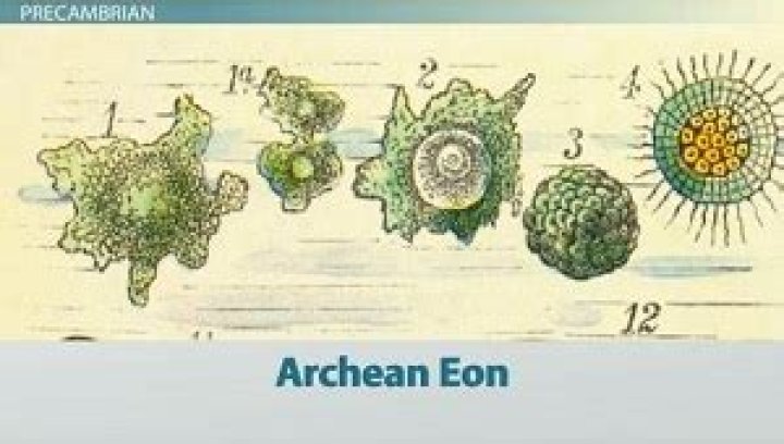 What plants lived during the Archean eon?