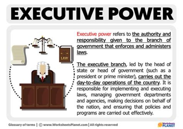 What power does the executive have?