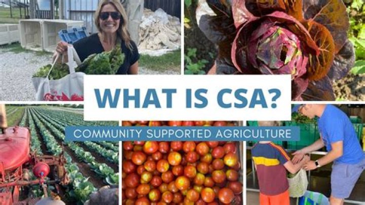 What powers do CSA have?