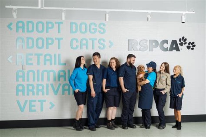 What powers do Rspca officers have?