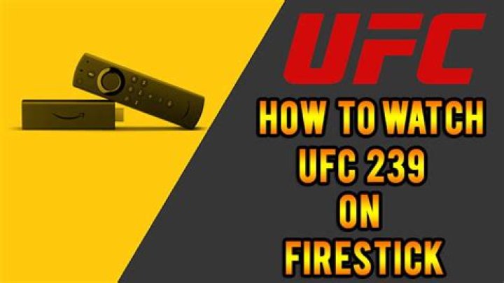 What PPV channel is UFC 239 on?