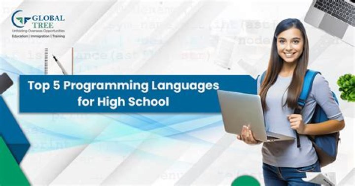 What programming language should high school students learn?
