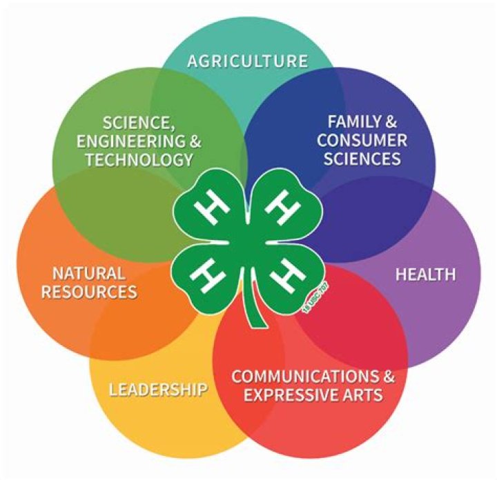 What programs does 4h offer?