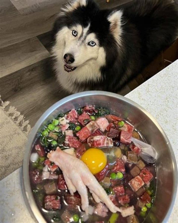 What raw meat is good for Huskies?