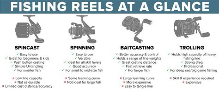 What reel means?