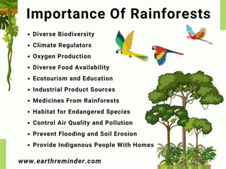 What resources do we get from tropical rainforests?
