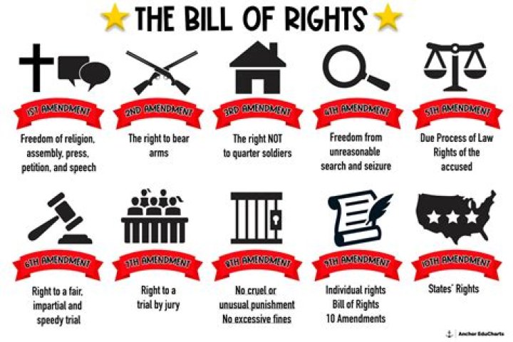 What rights do legal aliens have in America?