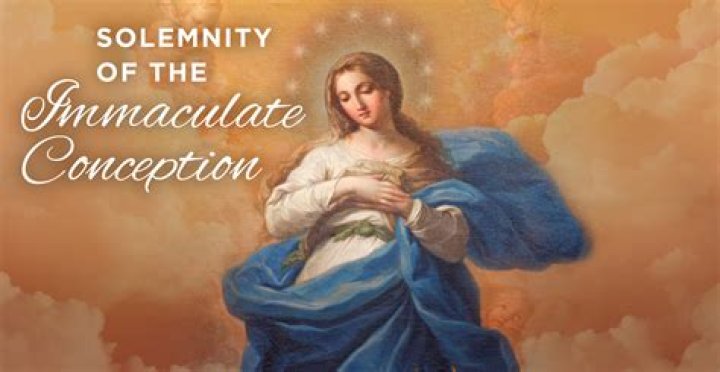What Saint said I am the Immaculate Conception?