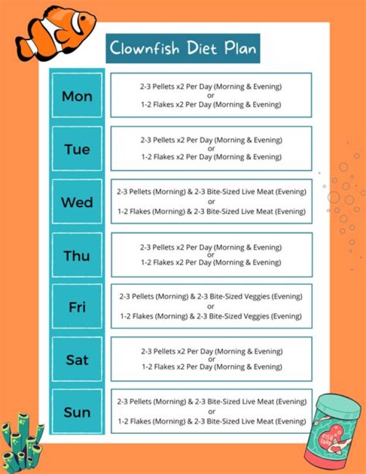 What should I feed my clownfish?