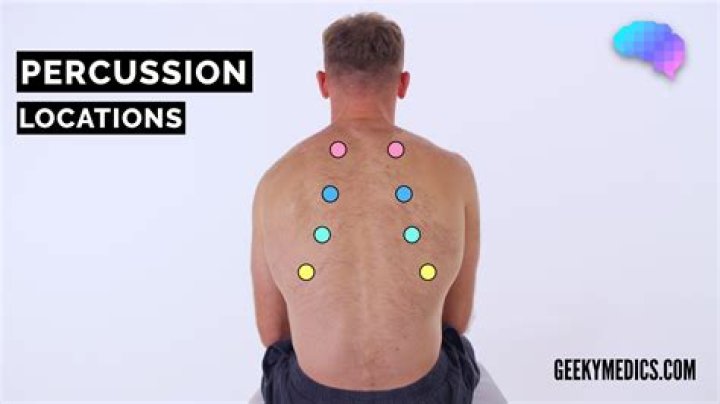 What should you hear when Percussing the chest?