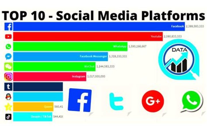 What site has the most users?