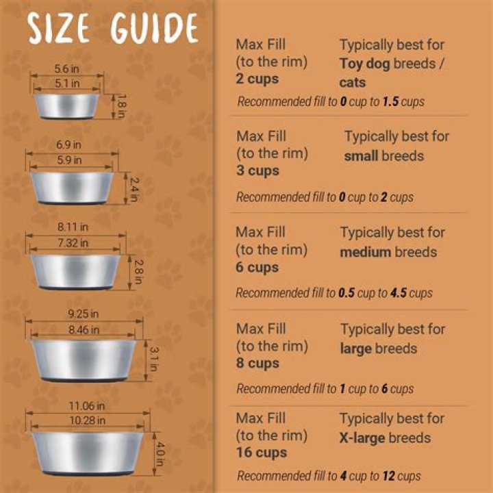 What size dog bowl should I buy?