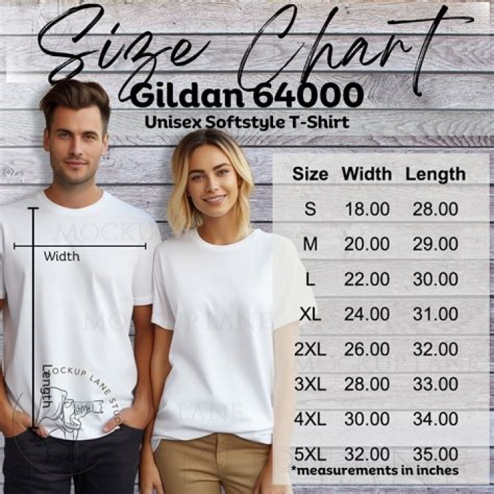 What size is a 48 t shirt?