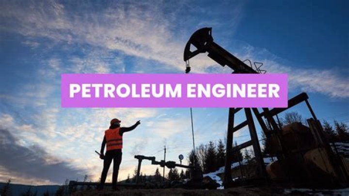 What skills are needed for petroleum engineering?