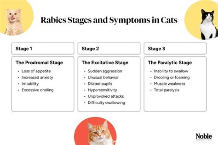 What states require annual rabies shots for cats?