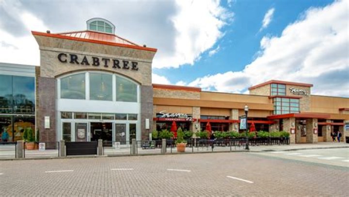 What stores are in the Crabtree Mall in Raleigh NC?