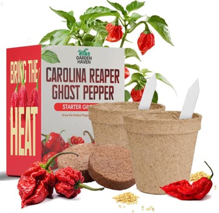 What stores sell Ghost Peppers?