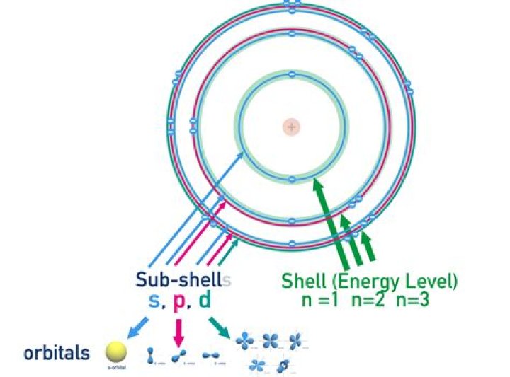 What Subshells are present in the N 5 shell?