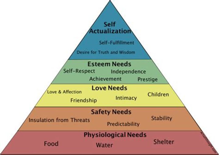 What three basic needs does the mother have?