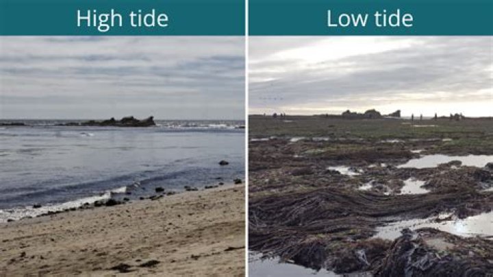 What time is high tide in Sandycove?