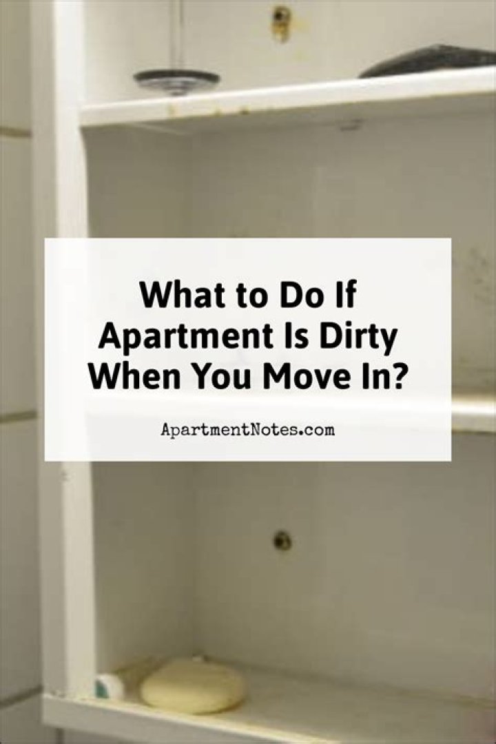 What to do if apartment is dirty when you move in?