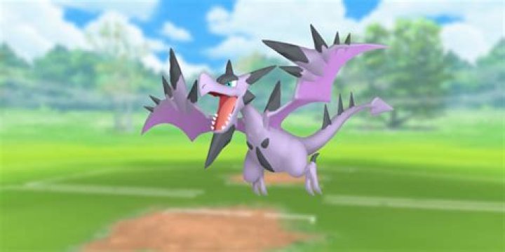 What type is mega Aerodactyl?