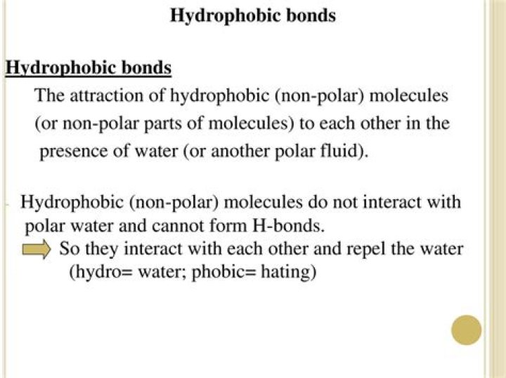 What type of bond is hydrophobic?
