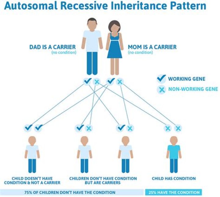 What type of inheritance pattern is beta thalassemia?