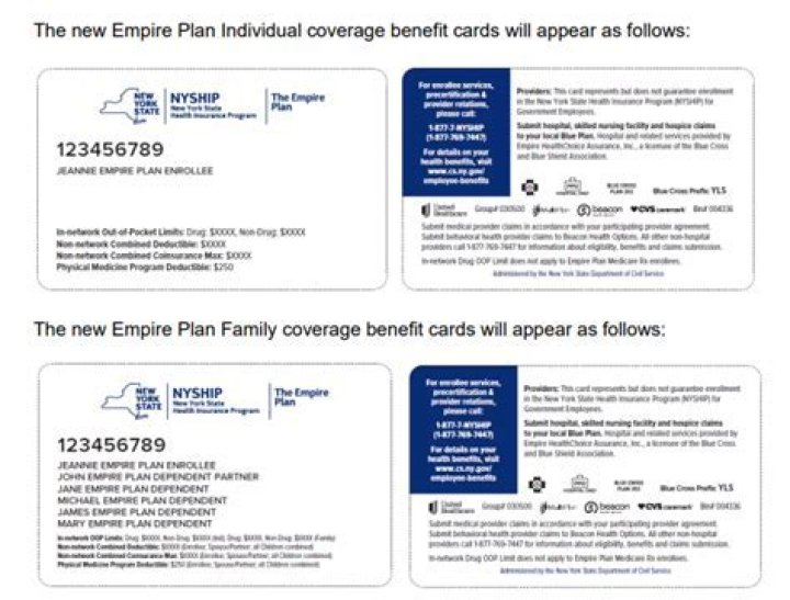 What type of insurance is the Empire Plan?
